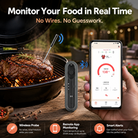 Termometer Daging Pintar Bluetooth Digital Nirkabel untuk BBQ dan Memasak dengan Kontrol Aplikasi untuk Dapur Luar Ruangan