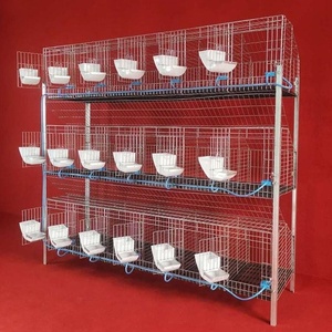 Cages <span class=keywords><strong>à</strong></span> lapins industrielles pour élevage commercial, <span class=keywords><strong>2</strong></span> <span class=keywords><strong>étages</strong></span>, avec loquets, en plastique et acier galvanisé, faciles <span class=keywords><strong>à</strong></span> nettoyer - Product Image 6