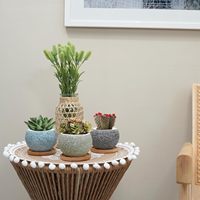 Pots à fleurs en céramique écologiques de 3 pouces pour plantes d'intérieur, lot de 6 avec trou de drainage, design moderne, ensemble de pots pour plantes succulentes