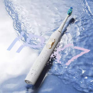 Brosse à dents électrique sonique rechargeable professionnelle avec poils en nylon doux, étanche IPX7, usage domestique, fabricant chinois - Product Image 4