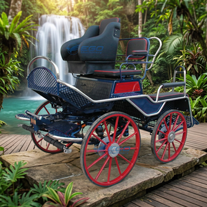 4 Chariots de poney de luxe miniatures pour marathon, chariot à chevaux avec système électrique, en acier, 4 roues - Product Image 1