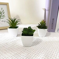 Nouvelles mini-plantes succulentes artificielles dans des pots carrés blancs, fausses plantes vertes pour la décoration de la maison, des mariages et des bureaux
