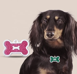 Glitzer Knochen form Zink legierung Haustier Tag verlust feste Beschriftung Hund Marke Knochen Tag mehrfarbige Haustier Halsband Zubehör - Product Image 2