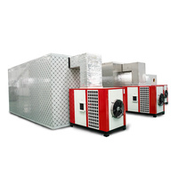 Mango/ Apple/Oranje/Abrikoos/Banaan/Ananas Droogoven, fruit Droger Machine Groente-en Droger Machine