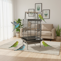Vente en gros de cages à oiseaux, volières et maisons pour oiseaux en métal solide, classiques, modernes, durables, de grande taille, pour l'intérieur et l'extérieur, avec possibilité de personnaliser la taille