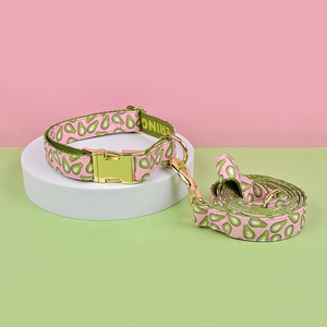 MIDEPET personalizzato stampa Avocado in Nylon riflettente collare per cani guinzaglio Set per le passeggiate di San Valentino di <span class=keywords><strong>capodanno</strong></span> popolari per gli animali domestici - Product Image 4