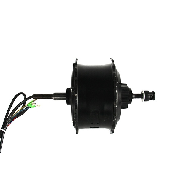 20''*4.0 48V 500W 750W 1000W Fat Bike Motor Rear Wheel Spoke Hub Motor Bicycle Electric Motor