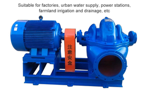 Pompe centrifuge à double aspiration à corps divisé, pompe à eau centrifuge à double aspiration pour l'irrigation agricole - Product Image 6
