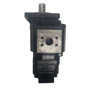 Para SDLG maquinaria de construcción cargadora de ruedas bomba de engranajes hidráulica 4120006320 carretilla elevadora bomba hidráulica aplicable al por menor - Product Image 6