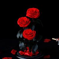 Lovebay Muttertag geschenk Ewige Rose konservierte Blume in Glas 3 Stück echte konservierte Rosen mit Stiel für immer Rosen in Glaskuppel