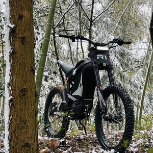 Motocicleta Todoterreno de Aventura, 8KW, 330N.m, Alto Torque, E-Moto para Recorridos por Bosques, Campismo y Actividades al Aire Libre, R1 8KW, Motor LPMSM - Product Image 6