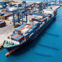 Tür-zu-Tür DDP Logistikservice Versandagent von China in die USA, Großbritannien, Frankreich LCL+Express-Service Seefracht