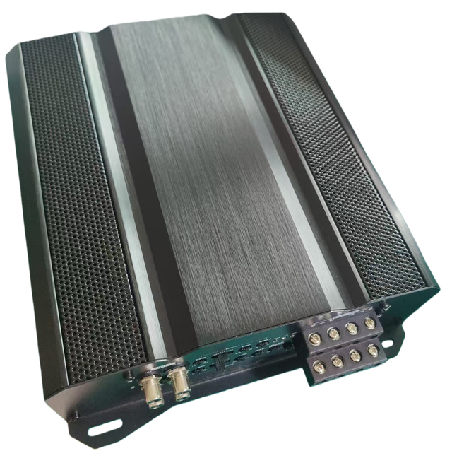 5000W 1 Channel Class D Monoblock Car Amplifier for Competition Car Audio Systems 90dB with Crossovers R5000.1D