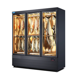 Armoire de maturation à froid UV en acier inoxydable pour poissons et fruits de mer, avec affichage numérique, pour usage commercial - Product Image 2