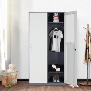 Chian Luoyang Hot Disassemble Office Workshop Sheet Metal 2 Doors File Cabinet Dividers Storage Cupboard Metal Cabinet Factory - Product Image 1