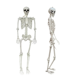 Halloween a grandezza naturale <span class=keywords><strong>scheletro</strong></span> gigante di Halloween all'aperto umano divertente Mini 8ft figura <span class=keywords><strong>giocattolo</strong></span> grande 5ft 12ft <span class=keywords><strong>scheletro</strong></span> per la vendita - Product Image 5