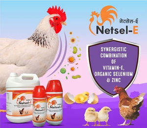 Suplemento Vitamínico E Premium Netsel E para Ganado, Aditivo para Alimento Animal para Ganado Vacuno, Aves de Corral, Ovejas, Cabras, Cerdos y Granjas Lecheras - Product Image 3