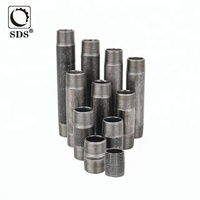 Raccord de tuyauterie SDS Fig. n°291 en acier inoxydable 304/316 haute pression, filetage mâle NPT, de 1/2'' à 4'', pour eau industrielle (vente en gros)