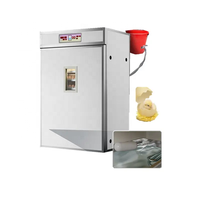 Incubateur à œufs de poulet populaire, technologie 220V-240V 50HZ, machine d'éclosion en vente
