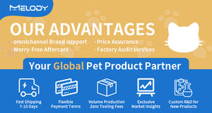 <span class=keywords><strong>Cage</strong></span> de transport pour animaux de compagnie pliable et légère, avec fenêtre, portable, en PP épaissi, respirante, grande <span class=keywords><strong>cage</strong></span> pour animaux de compagnie, bouton-pression solide - Product Image 4