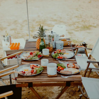 Table de camping pliante robuste, table de pique-nique d'extérieur, bureau de plage portable pour jardin, fête, barbecue, mobilier