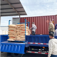 Gomme xanthane en gros, agent de suspension de gomme xanthane, gomme Hansheng pour épaississant alimentaire, stabilisateur