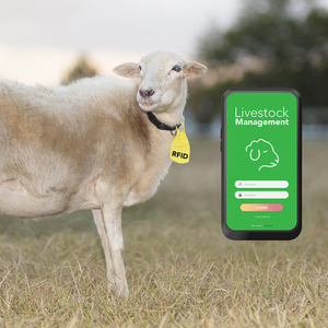 إدارة المخزون الهاتف المحمول ، قارئ rfid بوصة nfc الهاتف الذكي <span class=keywords><strong>IP64</strong></span> الهواتف المحمولة 6gb - Product Image 3