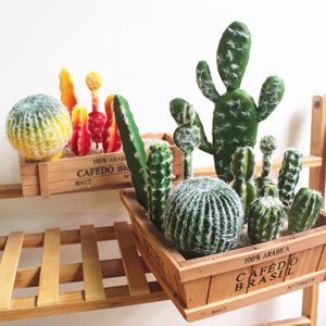 Mini décor pour pépinière, plantes de <span class=keywords><strong>Cactus</strong></span> artificielles, nouveauté - Product Image 2