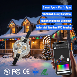 Programmable 12V 24V 36V Rgbic Permanent Outdoor <b>Point</b> <b>Lights</b> IP68 Smart App Controller Christmas Decorative Lighting - Product Image 1