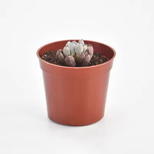 Pot de fleur en plastique double couleur à grande échelle-Jardinière imprimée moderne en gros - Product Image 3