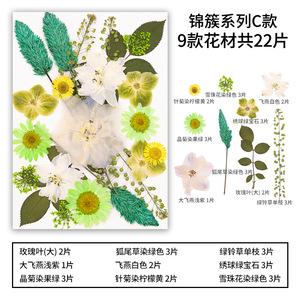 22-25 pièces/paquet, fleurs séchées pressées de la série JC, combinaison pour cadre photo en résine, <span class=keywords><strong>plante</strong></span> naturelle, Saint-Valentin, Pâques - Product Image 4