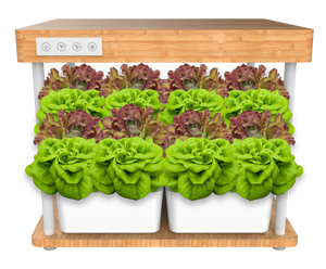 Sistemas de cultivo de plantas hidropónicas de jardín inteligente de bambú para interiores, luces LED de cultivo de espectro específico de 36w para el hogar, 30/ - Product Image 2