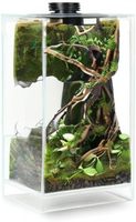 Terarium Tanaman Profesional Dengan Lampu LED Tumbuh PPFD Tinggi CRI 95 Spektrum Penuh untuk Venus Flytrap Drosera Lumut Lanskap Mikro