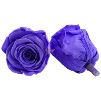 Fournitures de fleuriste en gros pour le bricolage : Roses éternelles enchantées, fleurs préservées à la glycérine, longue durée de conservation (3-5 ans)