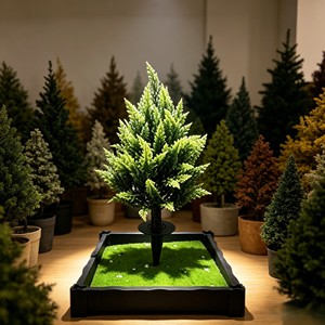 Plántula de Ciprés Fresco Densa y Refinada con Base Insertada para Jardinería, Arreglos de Cementerio, Parque o Patio - Product Image 3