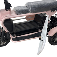 Tricycle électrique Holladay 48v 250w à deux places, moteur avant, tricycle multifonction, moto 48v, vélo électrique pliable à 3 roues
