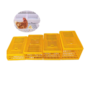 Cage de Transport en plastique Offre Spéciale, cage de transport de poulet vivant