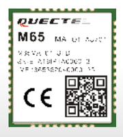 Module GPS Qualcomm M65 Quad-band LCC compatible puce-à-puce avec M66 et M66 R2.0