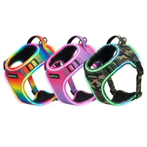 LED Luminous Dog Harness Night Safety Glowing Pet Vest USB Rechargeable Adjustable No-Pull Chest Strap for Large Dogs - Product Image 3