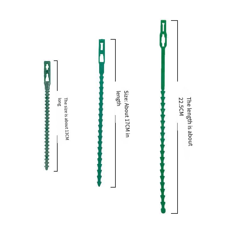 17ซม. 50ชิ้น