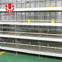 Système économique de cages d'élevage automatiques de type H pour poussins, avec accessoires complets, idéal pour les projets d'élevage avicole neufs