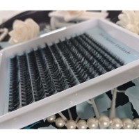 Bulu Mata Cluster 30D 40D 240 Pcs DIY Pre-made Fans Lash Clusters Bulu Mata C D Curl DIY Ekstensi Bulu Mata Individual
