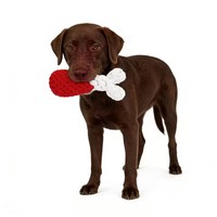 Vente flash Jouets en corde pour chien durables pour la Saint-Valentin Jouets à mâcher en corde pour chien en forme de cœur d'amour, de bâton de tambour pour chiens de petite et moyenne taille