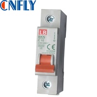 Disjoncteurs bipolaires CNFLY Electric Factory IEC60898 IEC61008 type Corée BKN RKN 25A 32A 63A