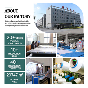 Nantong nhà máy dệt thiết lập siêu sang trọng và ấm cúng ấm áp tấm ga trải giường thiết lập sâu túi thêm mềm Micro Fleece 4Pcs tấm thiết lập - Product Image 6