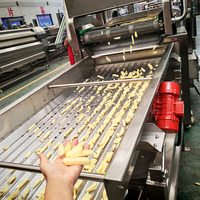 Nouvelle ligne de production automatique de frites à haute productivité de 100 kg/h, 200 kg/h, 300 kg/h, 500 kg/h, 1000 kg/h
