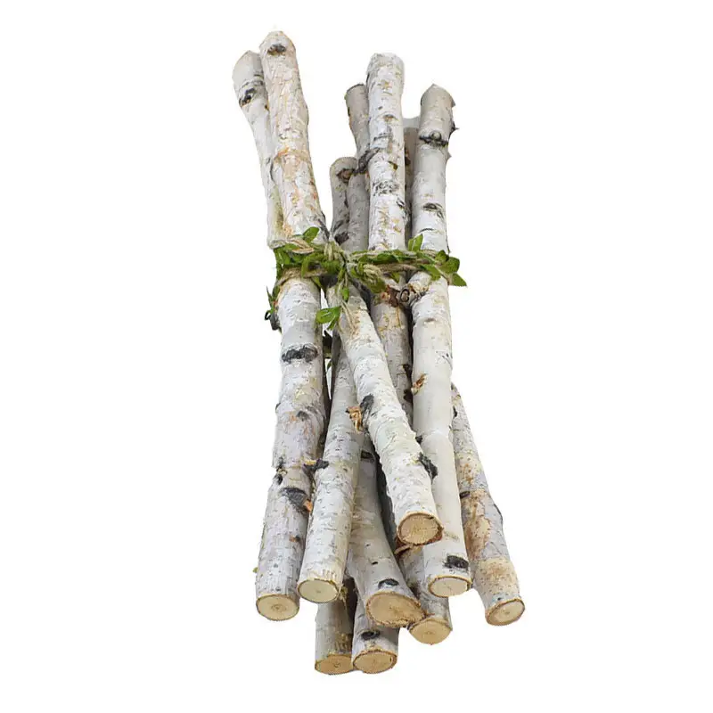 burch log planter sticks