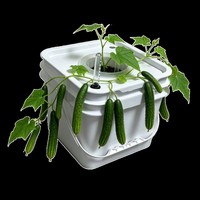 Système de culture hydroponique à 30 trous pour plantes, jardin vertical, tour hydroponique avec pompe et minuterie, livraison économique