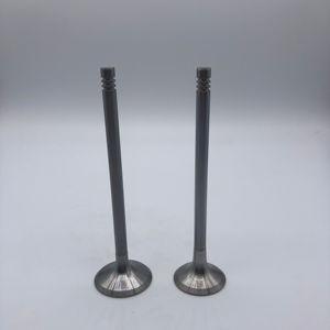 奥迪Q7 4.2杆C6 4.2 BAT BBK BHF A8 4.0T OE 06E109601E 06D109611H的工厂价格锻造发动机进气门排气门 - Product Image 6