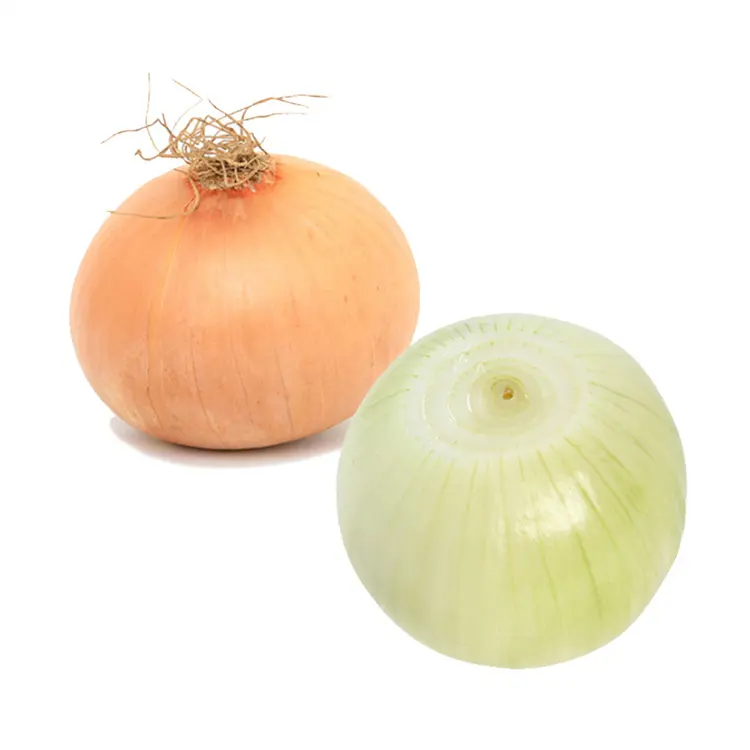 Fresh White Onion Exporter in China Wholesale Cheap Price Fresh Onion Vegetables Export to Japan Korea